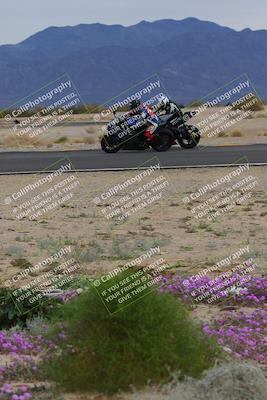 media/Jan-14-2023-SoCal Trackdays (Sat) [[497694156f]]/Turn 14 Exit Bloomig (145pm)/